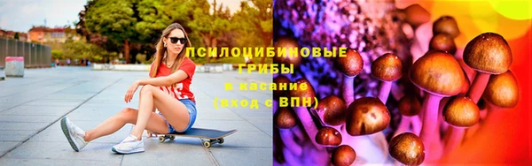 винт Алексин