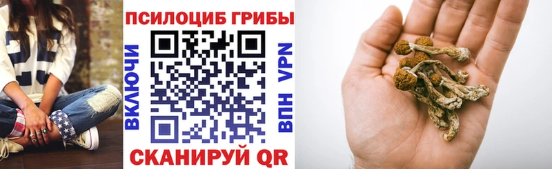 где купить наркоту  Обнинск  MEGA рабочий сайт  Псилоцибиновые грибы GOLDEN TEACHER 
